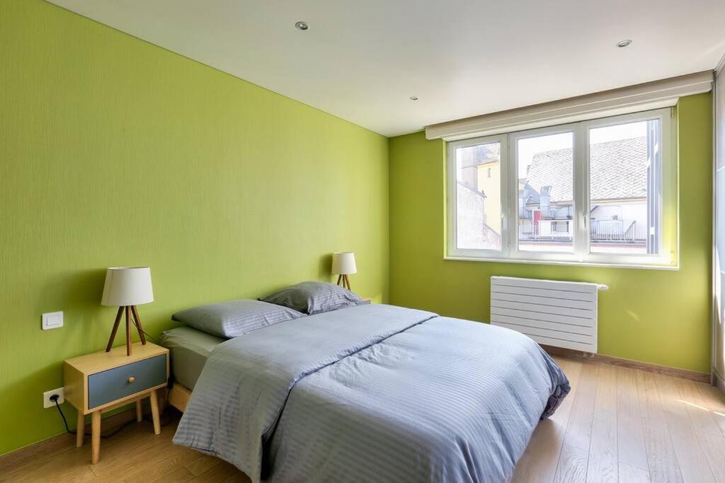 Appartement Spacieux Au Coeur De Strasbourg Kültér fotó